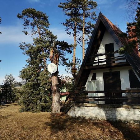 Vila Jovanovic Apartment Zlatibor Exterior photo